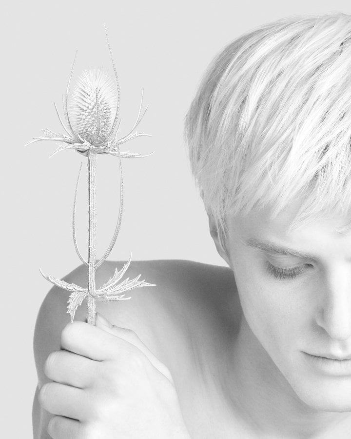 Boucheron, Carte Blanche 2025, Impermanence, Thistle brooch, Composition N° 5. The thistles' spiny flower heads were 3D printed using plant-based resin. Without a metal structure, it was impossible to set diamonds into the flowers. The artisans had to develop a new setting technique, hand-sewing more than 800 diamonds into the alveoli.