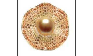 Eco-Gold by Jewelmer