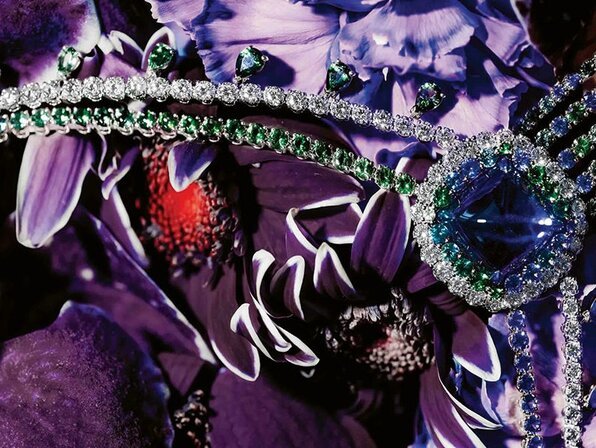 Gallery, Vol. V: Flowers & Wonders