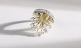 Sahag Arslanian: a new language in the world of coloured diamonds