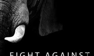 Richline Group to fight wildlife trafficking