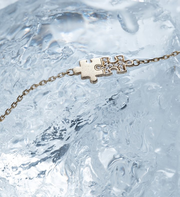 The Puzzle Collection