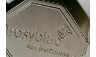 Rosy Blue Plants 3,000 Trees in Antwerp