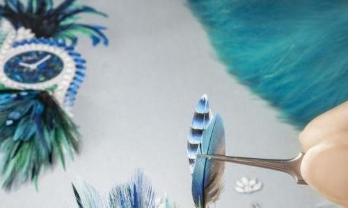 An introduction to the Solstice collection by Piaget
