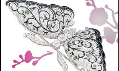 Mokoso Atelier - Poetic imagination