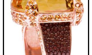 a cuckoo moment - Skins in combination with precious stones