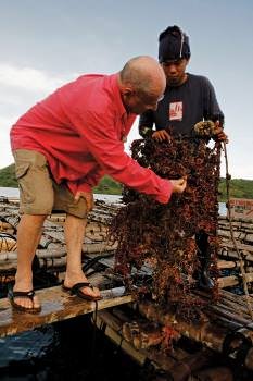 Jacques Branellec examines the many organisms that thrive in the protected pearl farms, which serve as bio-regenerators for the area's seas.