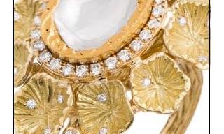 Pallavi Foley - Enchanted Collection