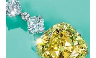 Tiffany & Co. announces “Vision & Virtuosity”