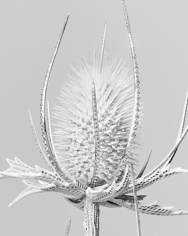 Boucheron, close-up of the Thistle, Composition N° 5
