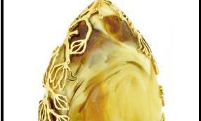 S&A Jewellery Design - Perfection in details