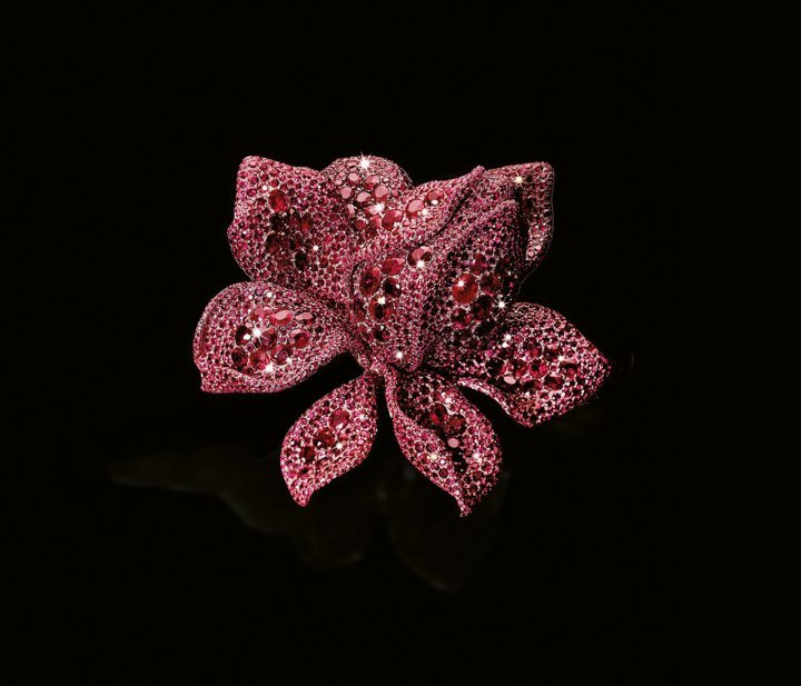 The Red Lotus Under The Sun cuff