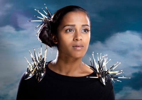 Winner 2011: Jiang Zhe (China) - Porcupine Theory (brooch)