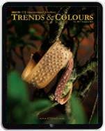 Joan Hornig Jewelry - Philanthropy is Beautiful