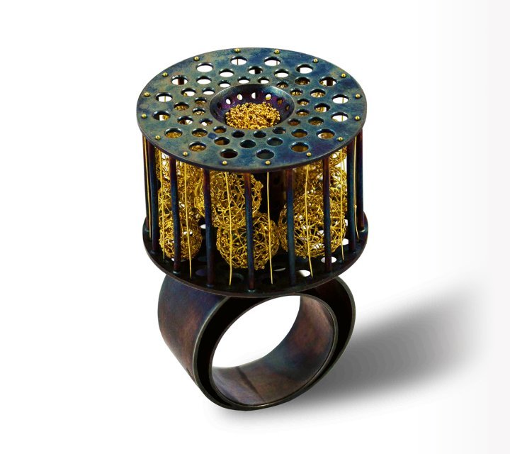 Arata Fuchi, This Conveniently Incomplete World ring