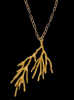 Coral collection