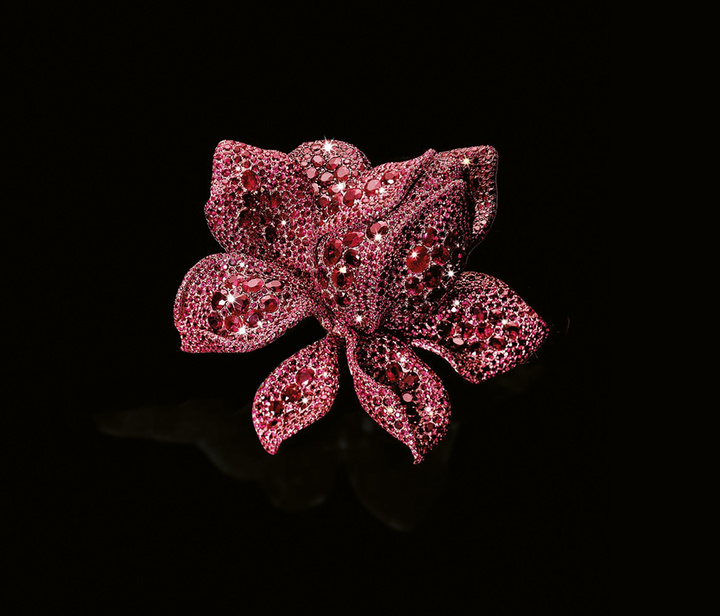 The Red Lotus Under The Sun cuff