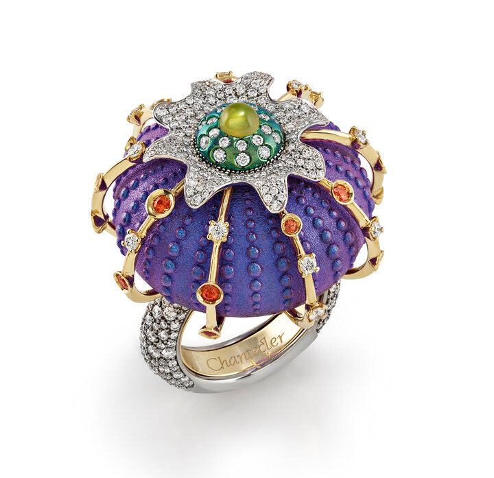 Small Sea Urchins ring in coloured titanium, diamonds and sapphires